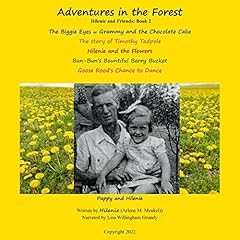 Adventures in the Forest Audiolibro Por Hilenie arte de portada