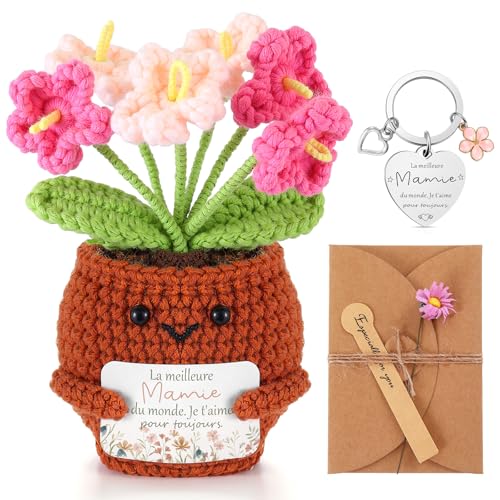 Otuuz Cadeau Mamie Idée Cadeau pour Grand-Mère Poupée de Fleurs Roses Tricotées Porte-Clés de Cœur Carte de Vœux avec Fleur Séchée pour Anniversaire Noël Nouvel An Fête des Grands-Mères