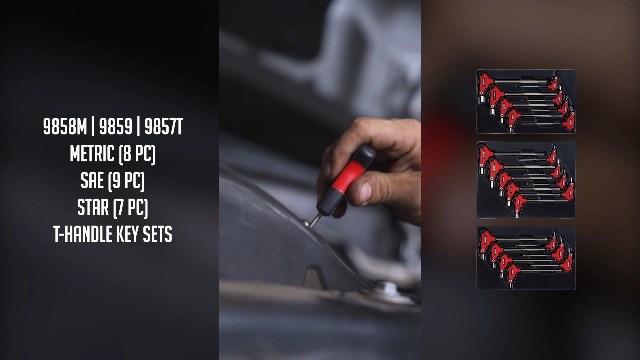 さっちゃん ディープレイヤーExG2セット Sunex 9859 T-Handle - SAE - Hex Key Set (9 Piece) - Amazon.com