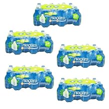 Niagara Drinking Water, 8 oz Bottles, 24-Pack, 5 Case Bundle 120 Bottles