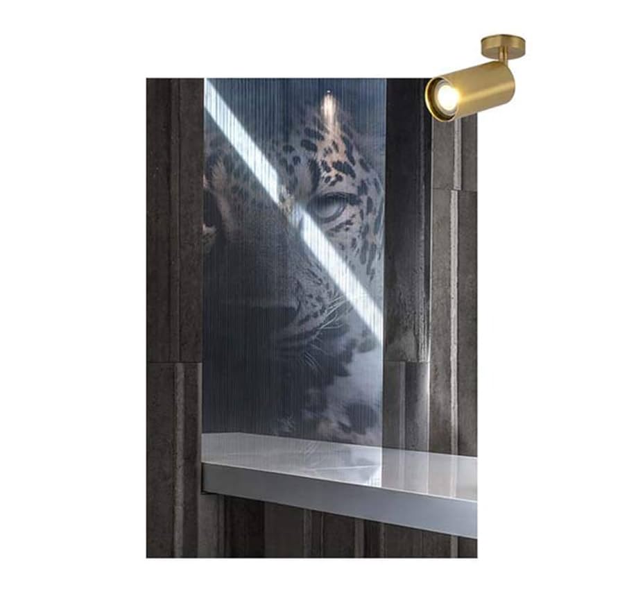 Amazon.co.jp : すべての銅はスポットライトライト現代アメリカ