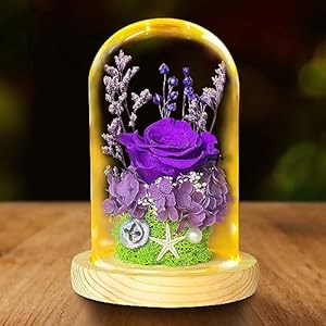 Preserved Rose Flowers Beauty and The Beast Rose Flower Gifts For Women,Eternal Rose Gifts For Her,Glass Rose Flower Gift for Mom Wife on Mother’s Day Valentines Day Christmas Birthday Gifts for Women