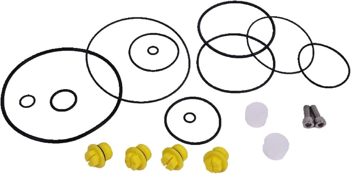 HOLDWELL Fuel Pump Repair Kit 891866-CP5-2 compatible with Fuel Injection Pump 0445020126