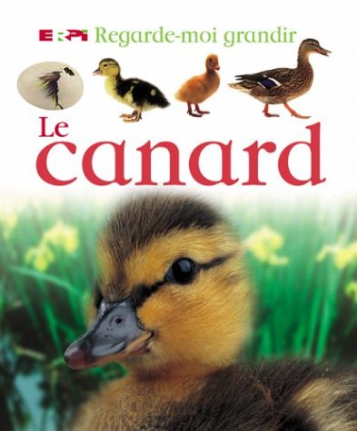 Canard (le) regarde-moi grandir