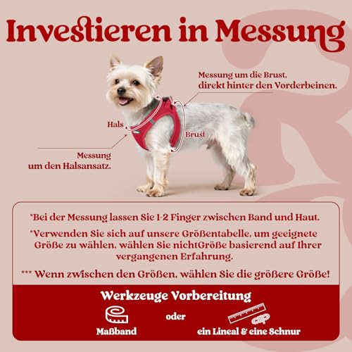 rabbitgoo Hundegeschirr Kleine Hunde, Step-in Welpengeschirr Weich Mesh für Spaziergänge, Atmungsaktives und Reflektierendes Brustgeschirr für Kleine und Mittelgroße Hunde, Rot, S