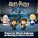 Little People Collector Harry Potter and The Goblet of Fire Special Edition Set for Adults & Fans, 4 Figures in a Display Box