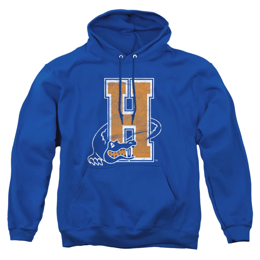 LOGOVISION Official Collegiate Distressed Primary Logo Adult Pullover Hoodie Collection — view 386