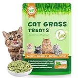 Cat Herb Snacks, Granules d'herbe de Chat lyophilisées, Jouets à mâcher comestibles, Hairball traite, Respire Frais, Convient aux Chats de Plus de Trois Mois