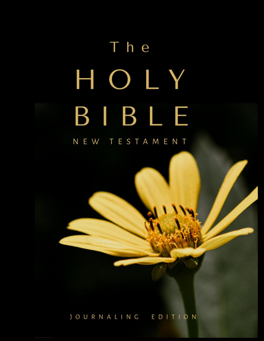 Holy Bible KJV: Wide Margin Journaling Edition: Large Print Single-Column New Testament Bible for Meditation, Study Notes, and Reflection