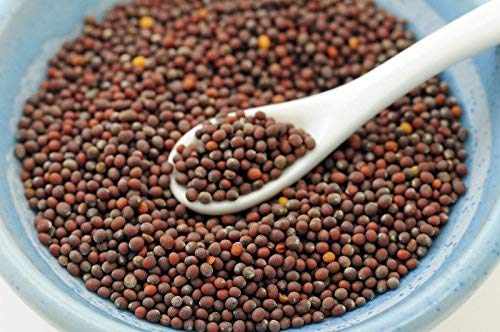 Neotea Brown Mustard Seeds (500G) #TOP4