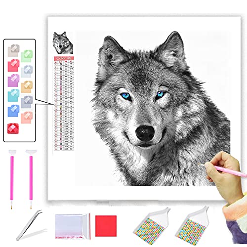 ANMUXI Kit de peinture diamant 5D pour adultes - Peinture diamant à faire soi-même avec strass - Peinture par numéro - Motif loup aux yeux bleus - 30 x 30 cm Cover