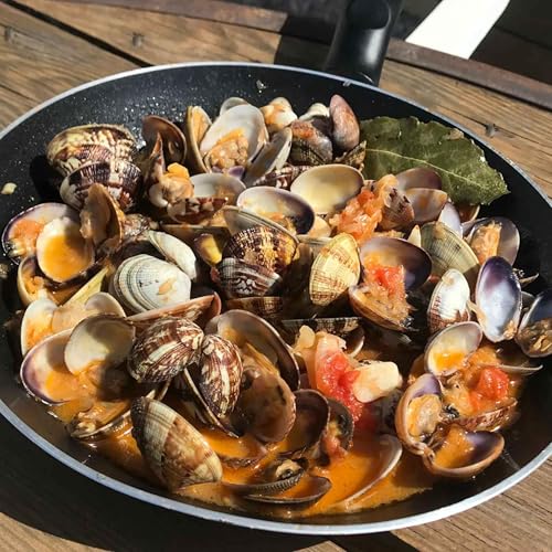 Les coquillages de m&egrave;re en fils