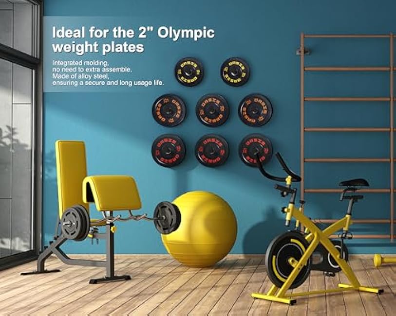 Weight Plate Holder, Wall Mounted Weight Rack Storage for Weight Plates, Home Gym Organizer