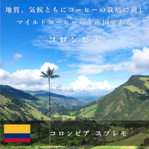 MITSUMOTO COFFEE コロンビア スプレモ 1kg 生豆
