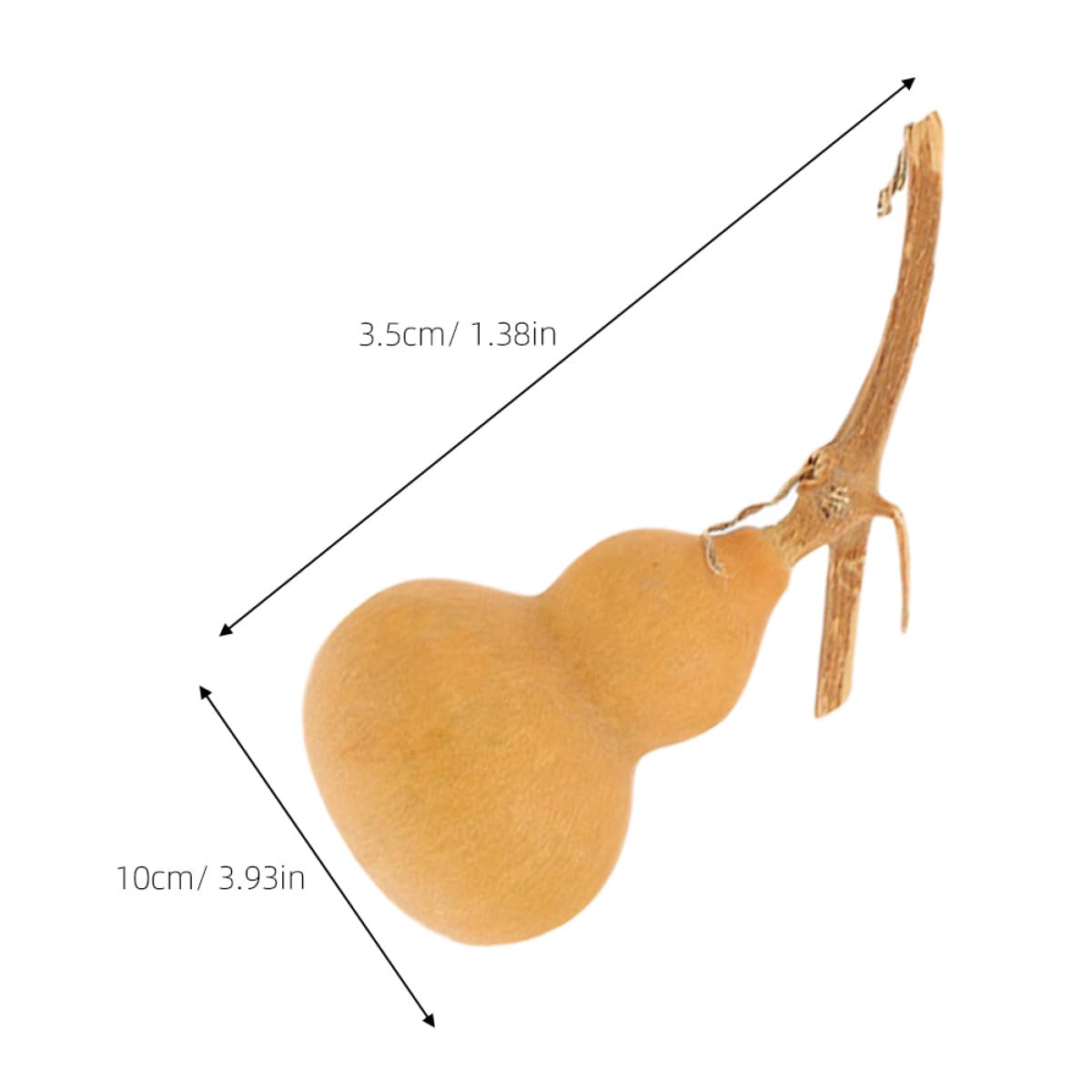 10 Piezas Adornos de Calabaza Naturales Mini 4-6 CM Decoraciones Artesanales Pequeñas para Hogar Oficina y Fiestas Calabazas Decorativas Ligeras y Fáciles de Colocar