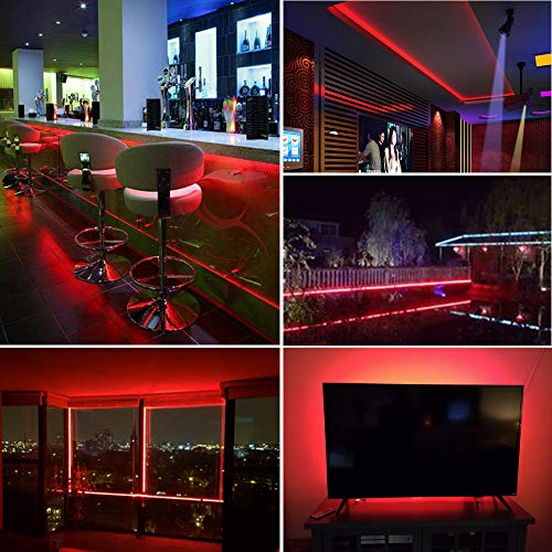 Everbright Red Led Strip Lights 5M /16.4Ft 600Smd Waterproof Ip68 Flexible For Bedroom Undercar Lighting Kits Mall Booth House Party Decoration Stage Lights, No Power Adapter #TOP4