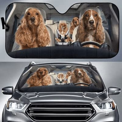 Pare-soleil voiture universelle pour les trajets en famille en été