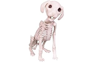 Halloween Skeleton Dog Décor by MAKEATREE