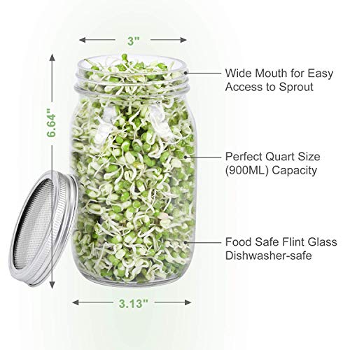 Image of Complete Mason Jar Sprouting Kit - 2 Wide Mouth Quart Sprouting Jars with 316 Stainless Steel Sprouting Lids, Drip Tray and Stand