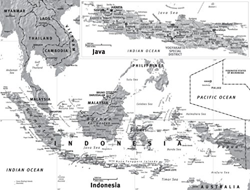 A Brief History Of Indonesia: Sultans, Spices, And Tsunamis: The Incredible Story Of Southeast Asia's Largest Nation (Brief History Of Asia Series) #TOP3