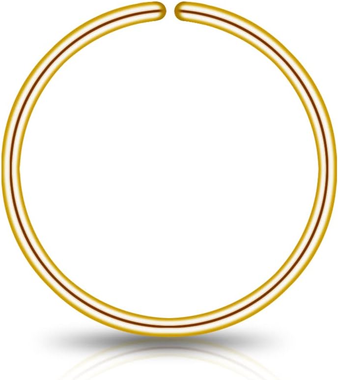 LUCKYJEWUS Small Thin Gold or Sterling Silver Nose Ring Hoop for Women, Tiny Nose Piercing jewelry