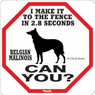 belgian malinois gift items