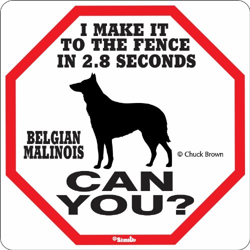 SIGNS UP Belgian Malinois 2.8 Seconds Sign