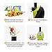 Homemade Frozen Fruit Yogurt Dessert Maker, Automatic Healthy Ice Cream Maker Electric Machine, Sweet Treat Smoothie Sorbet Maker Blender by Excelvan (Green)