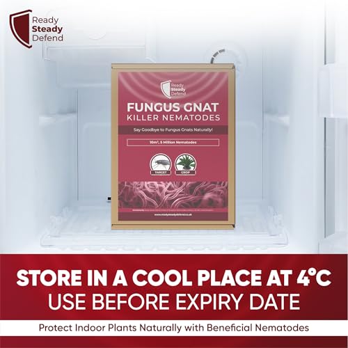 Fungus Gnat Killer Nematodes 10 m² (5 million) Indoor Plants - Effective Biological Control, Ideal Gnats Killer Indoor Plants, Comprehensive Scairid Fly Killer for Houseplants - Image 6