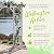 Dura-Trel Wellington Arbor, 72 by 85 Inch PVC Patio Garden Arch, Outdoor Backdrop Frame Decoration or Trellis for Climbing Plants, White