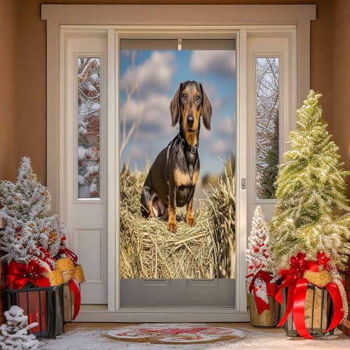 Cortina opaca para puerta de perro salchicha divisor de privacidad temporal 178x90 cm 5