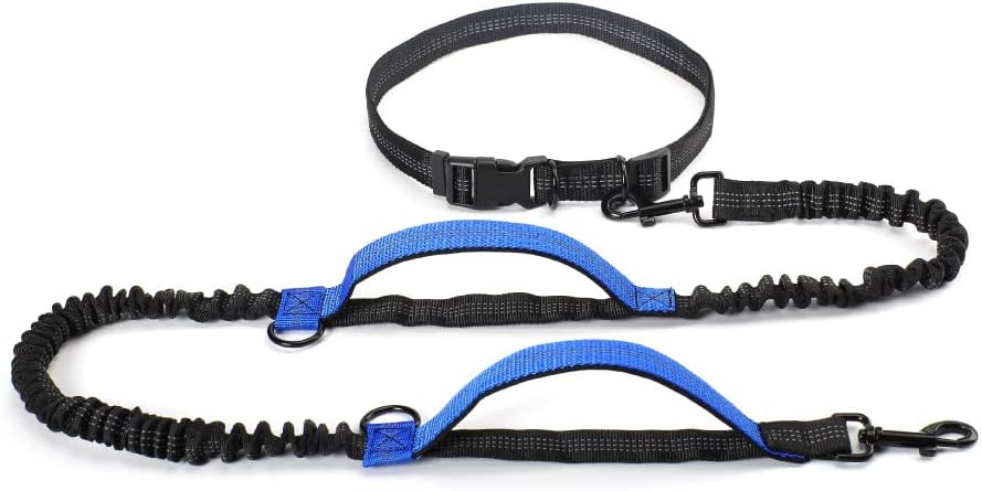 Dog Leash retractable Hands Free Dog Leash For Running Dual Handle Bungee Leash Reflective For Large Dogs 1Pcs New Sky Blue