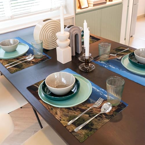 Set de table lavable résistant chaleur Lot de 4 sets décoration table cuisine - 7