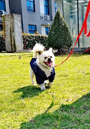 Oefeo 6Ft Reflective Dog Leash For Large&Medium And Small Dogs, Strong And Durable Nylon Leashes For Walking And Training, Heavy Duty 6 Foot Dog Leash With D Ring For Puppy (Turquoise, 3/4 Inch X 6Ft) #TOP5