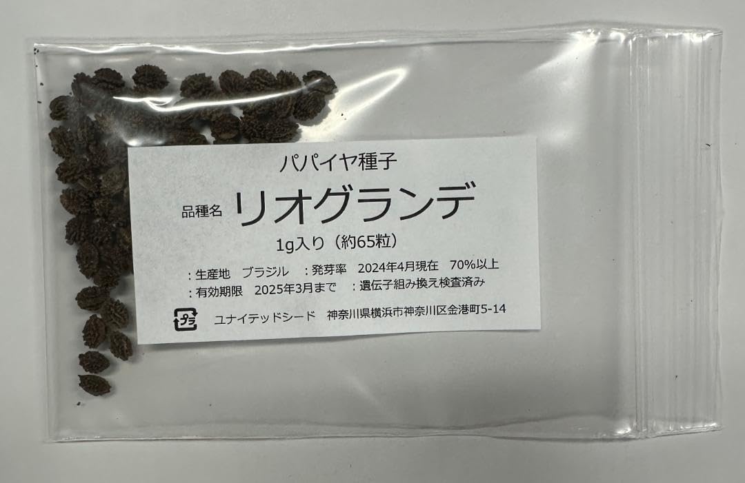Amazon.co.jp: パパイヤ種子（タネ） 品種名 リオグランデ 1g