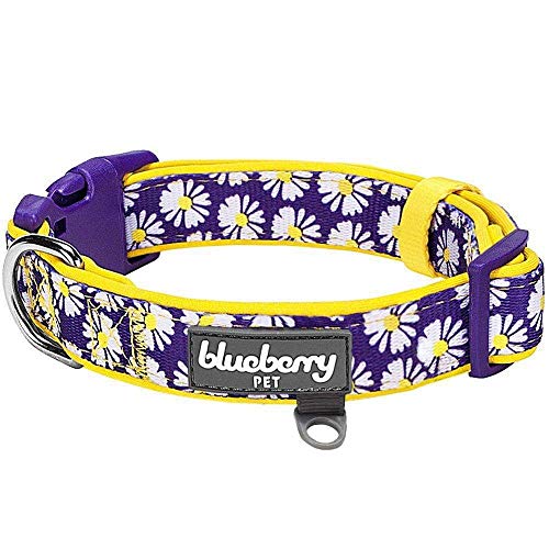 Blueberry Pet 5 Patterns Soft & Comfy Loving Daisy Prints Padded Adjustable Dog Collar, Medium, Neck 14.5"-20" #TOP25