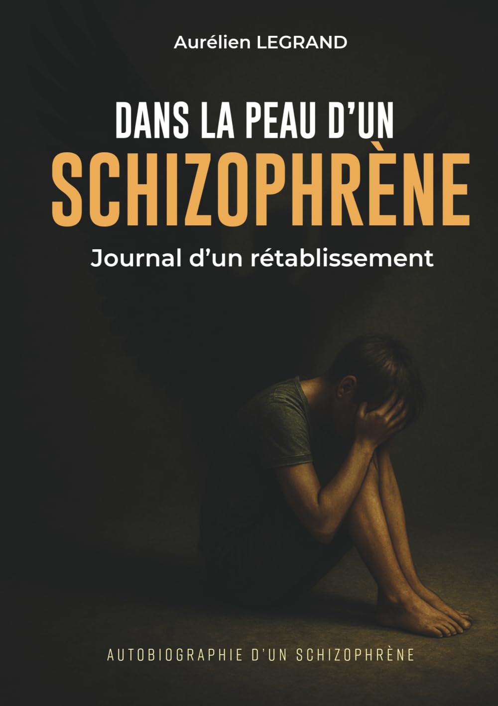 Dans la peau d'un schizophrène: Journal d'un rétablissement