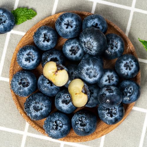 Semillas de arándanos, comprar semillas de arándano, columnar resistente comprar raras jardín 450pcs