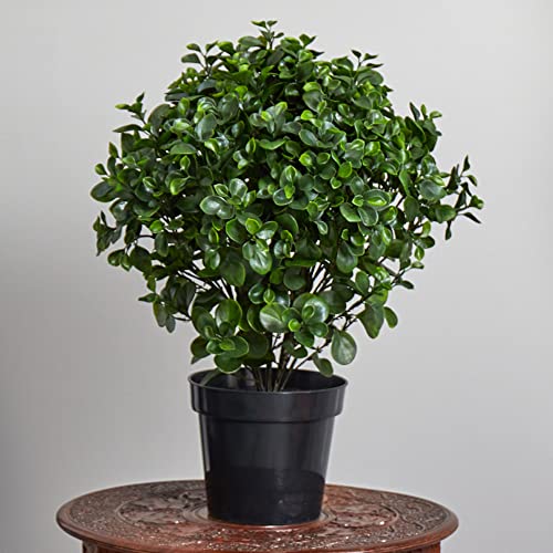 Nearly Natural Peperomia Indoor/Outdoor UV Resistant Plant, 28-Inch by Nearly Natural - Image 4