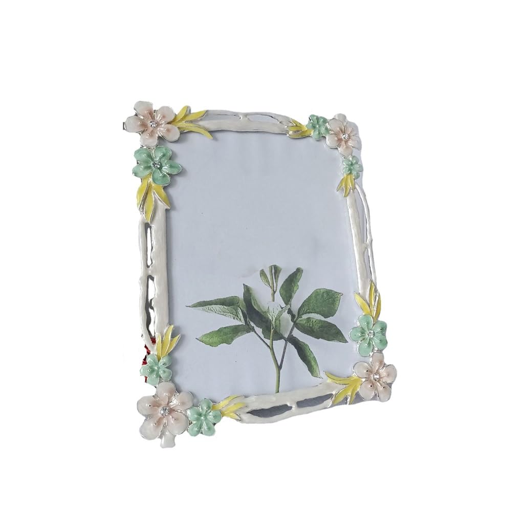 KLerDH Picture Frames, Metal Enamel Color Picture Frame Light Embellishment(L)