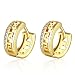 AMBESTEE Men Women Hoops Gold Plated Rhinestones Cubic Inlay Zirconia Hoop Earrings Studs Set for Party Meeting Wedding Daily Wear Christmas Gift
