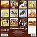 What Horses Teach Us 2026 Wall Calendar