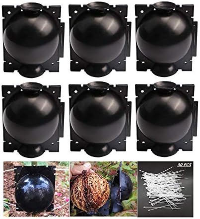 Amazon.com : 10 PCS Plant Rooting Ball Reusable Plant Rooting Device ...