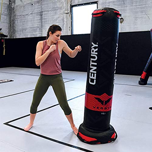 Century Versys Fight Simulator - Image 4