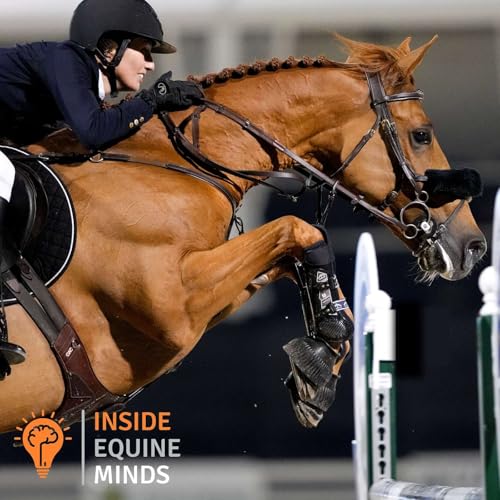 Rincoola Milsean: Tenacious Pocket Rocket