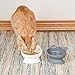 Kitty City Elevated Cat Bowls (Set of 2), Whisker-Friendly Raised Cat Food & Water Dishes, Modern Pedestal Design, Dishwasher Safe, 6.5 oz Each – White & Gray