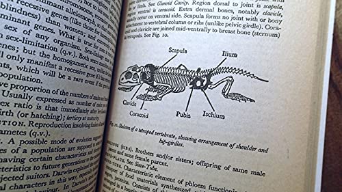 A Dictionary of Biology, 6th Edition (Penguin R... B00307GJKA Book Cover