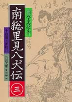 Amazon.co.jp: 南総里見八犬伝 岩波文庫