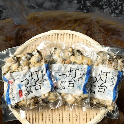 [訳あり][定期便][全3回・隔月]灯台つぶ[総重量2.7kg]