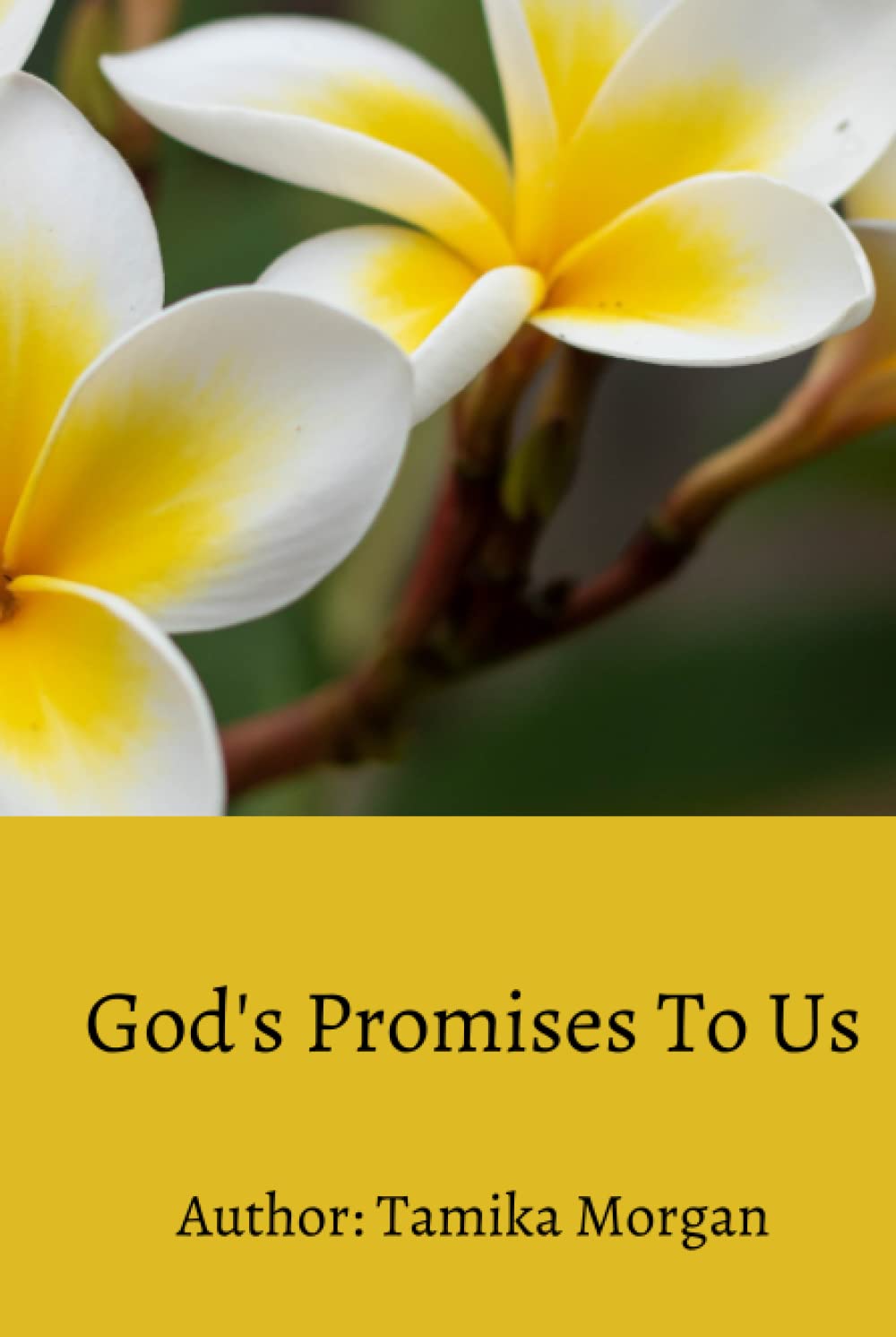 God's Promises to Us